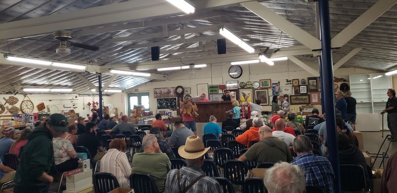 A Live Auction That Turns Ordinary Shopping Into Pure Entertainment A Live Auction That Turns Ordinary Shopping Into Pure Entertainment