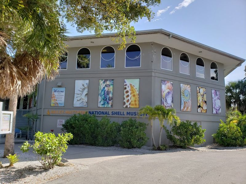 A Living Aquarium Shares The Building With The Shell Exhibits