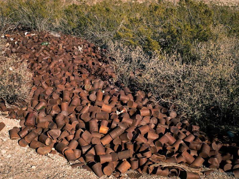 A Living Archaeological Puzzle A Living Archaeological Puzzle