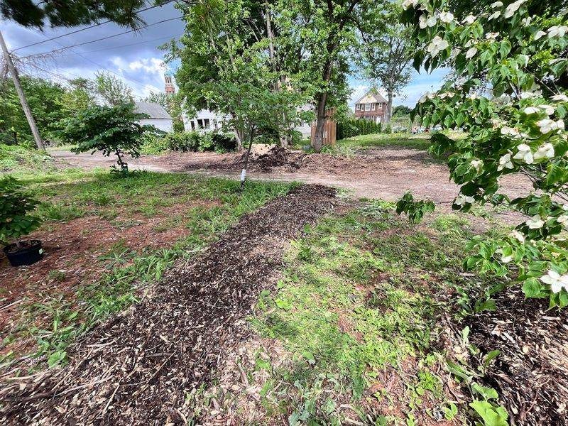 Sensory Oddities You Notice Late