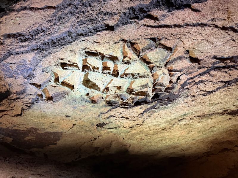 A Living Cave Still Growing