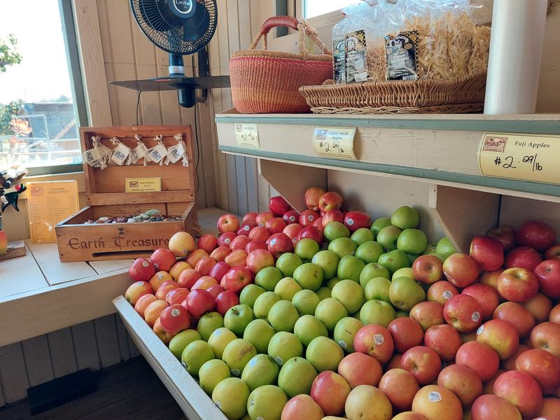 A Living Classroom About Where Food Really Comes From A Living Classroom About Where Food Really Comes From
