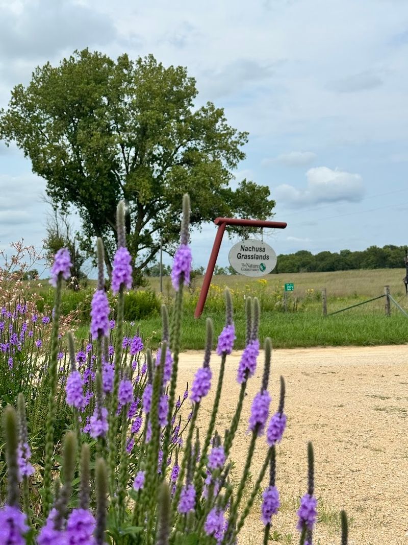 Best Times And Tips For Your Visit