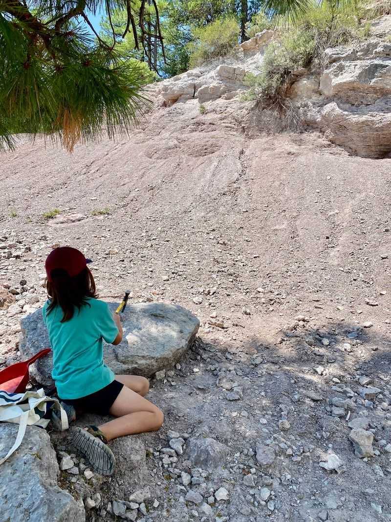 A Living Classroom For Curious Kids