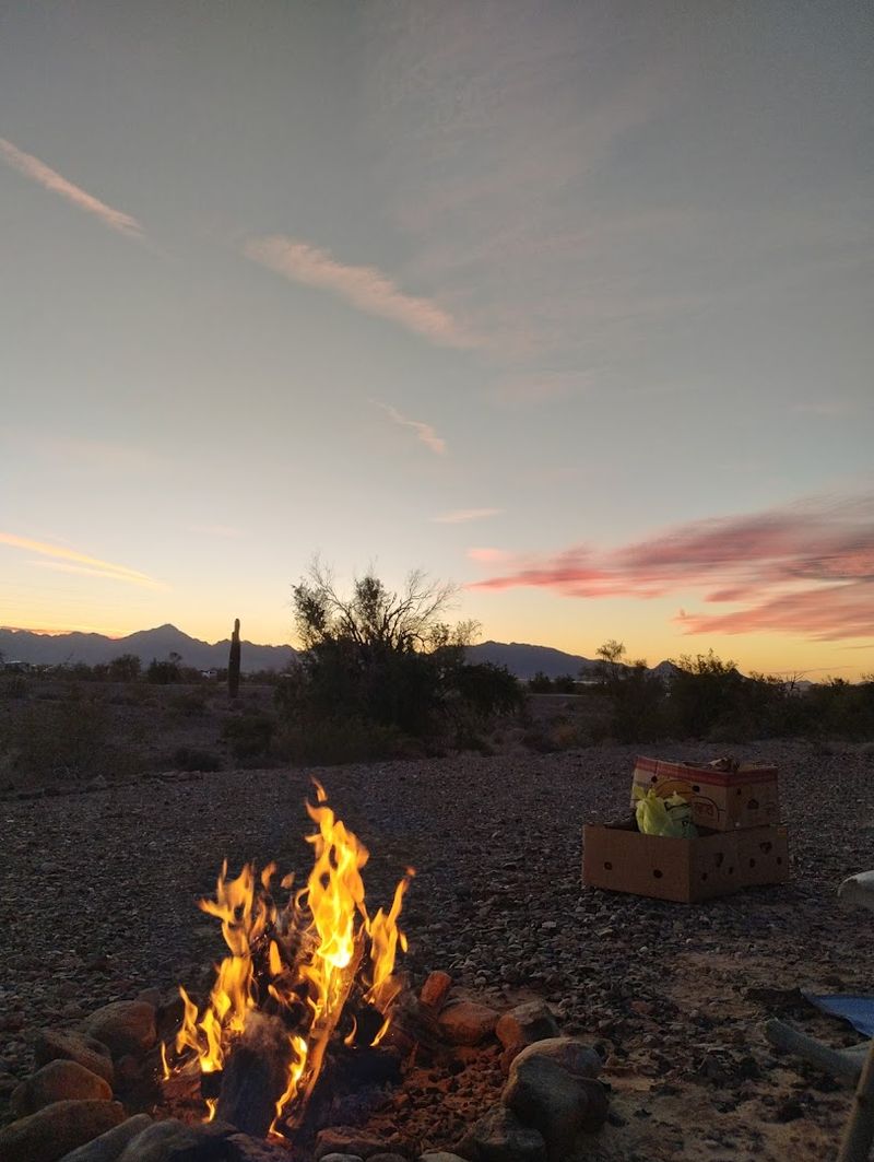 A Living Desert Landscape Feels Like Another World