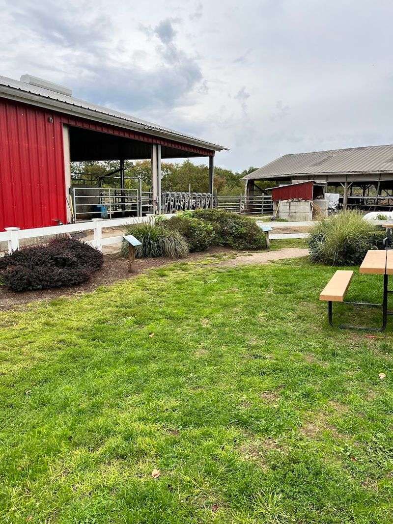 A Living Farm Experience That Connects You Back To Something Real A Living Farm Experience That Connects You Back To Something Real
