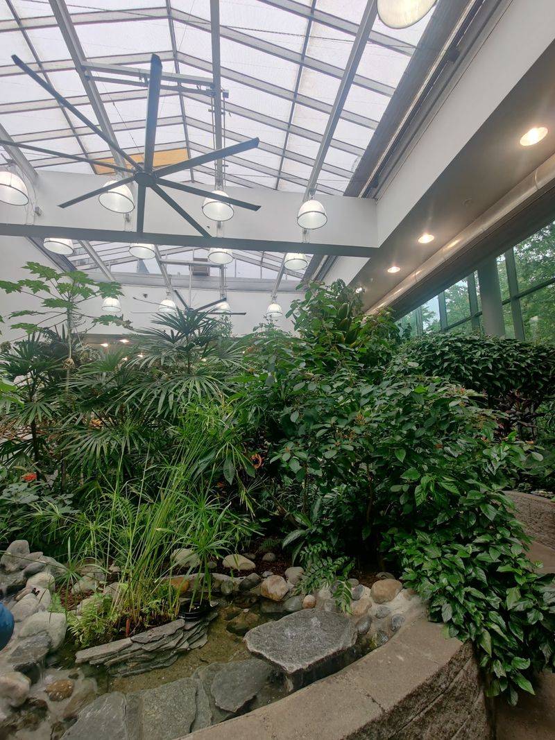 A Living Greenhouse in the Heart of Seattle