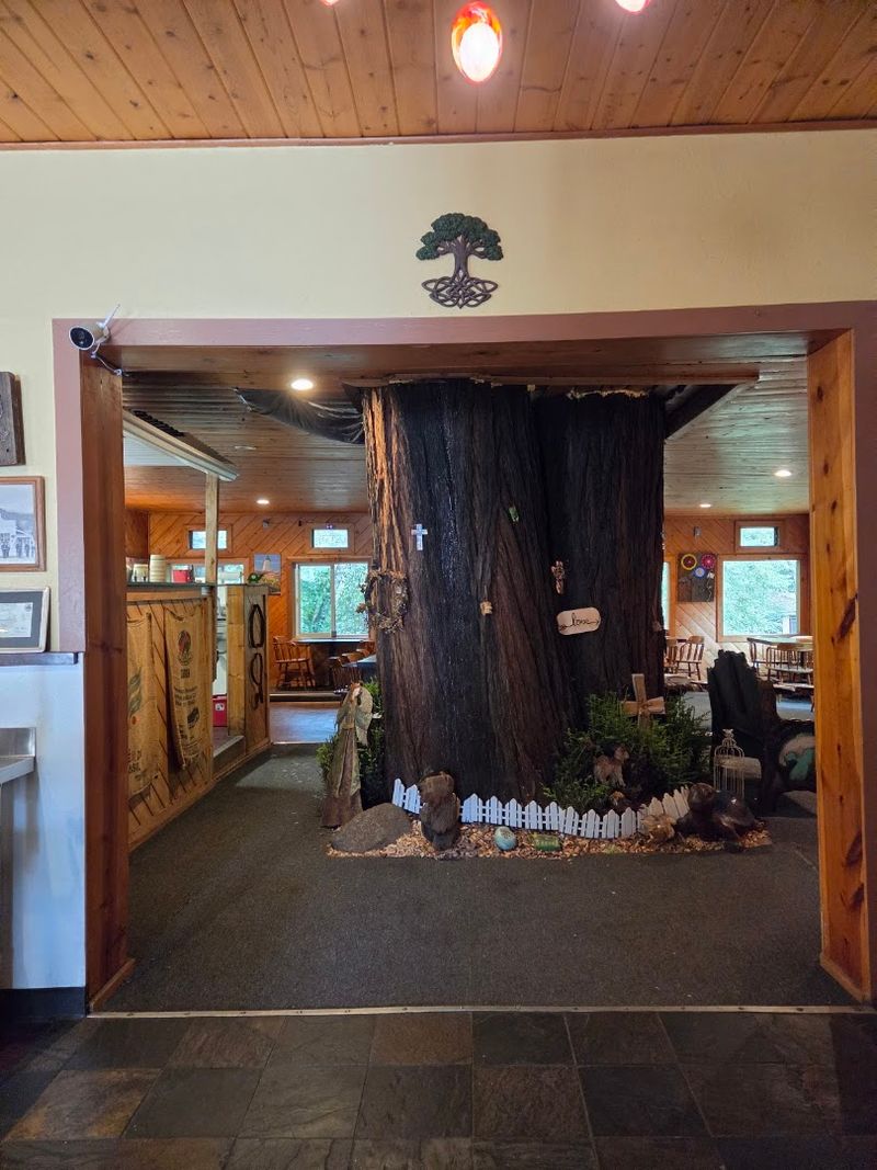 A Living Redwood Grows Right Through The Building A Living Redwood Grows Right Through The Building