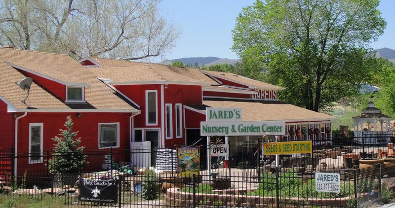 A Local Favorite That Feels Like a Hidden Gem