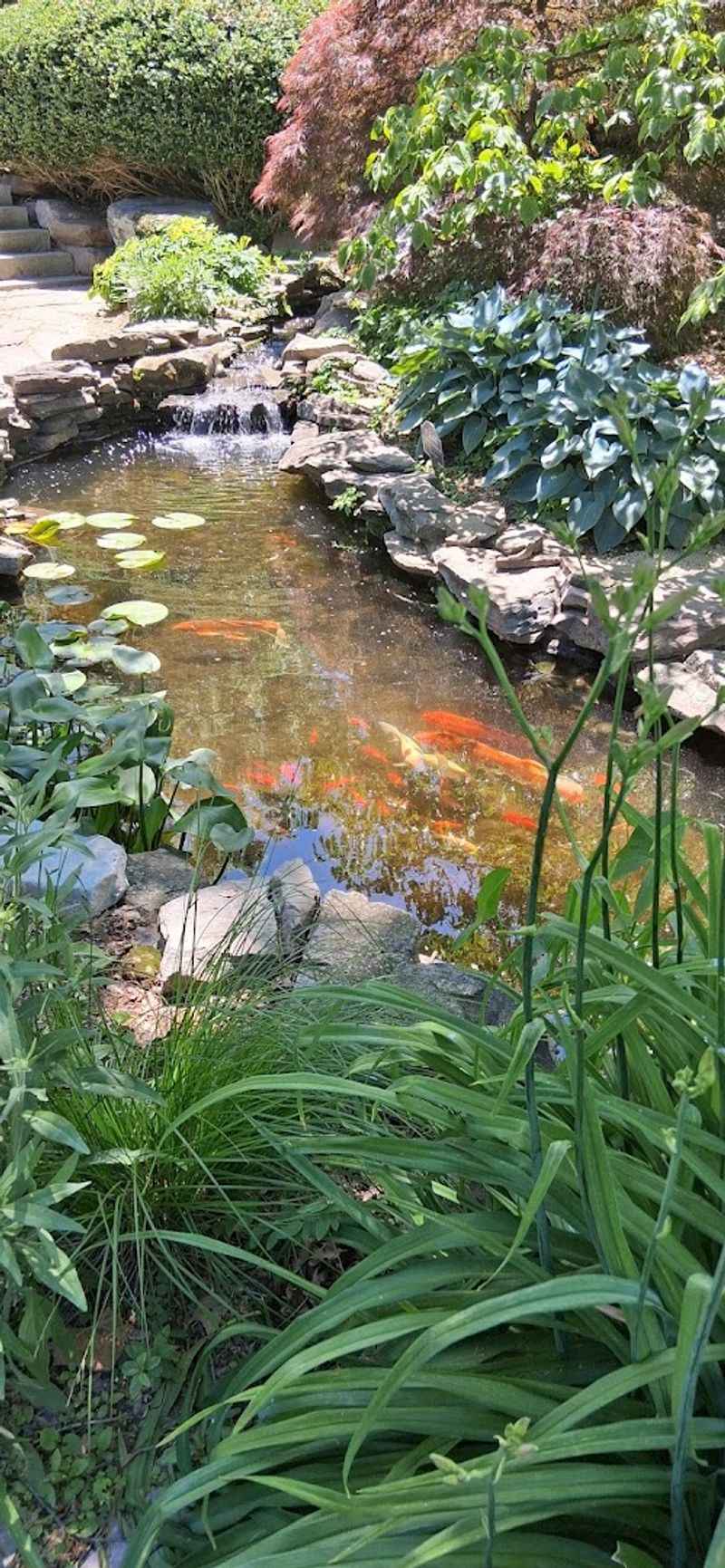 A Local Treasure Worth Spreading The Word About