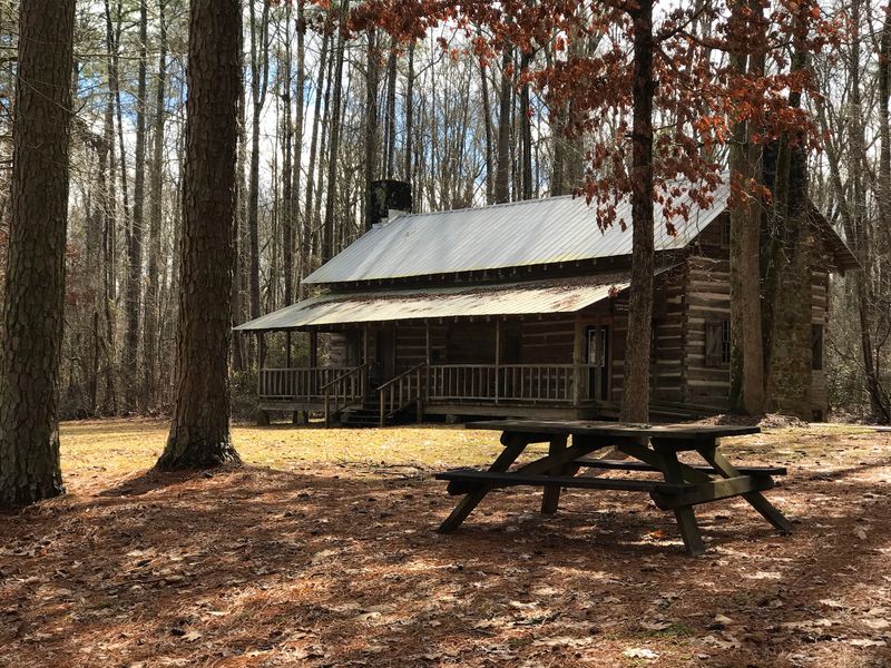 A Log Cabin Office, Picnic Spots, And A Playground