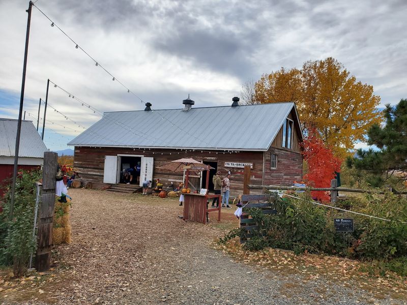 A Longmont Orchard With A Very Clear Mission