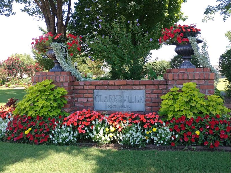 A Summer Festival Centered On Orchard Fresh Fruit And Homemade Pie