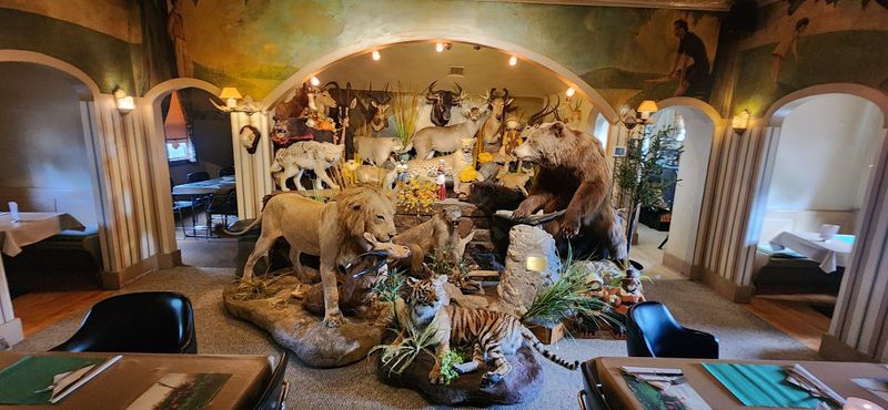 The Wild Decor Everyone Remembers