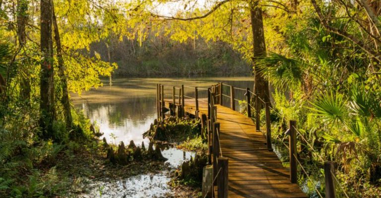 A Magical Adventure Awaits In Florida’s Hidden Everglades Trails