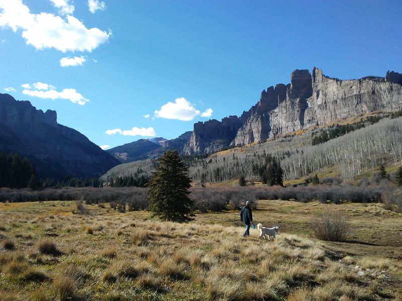 Trails That Clear Your Head Without Crushing Your Knees