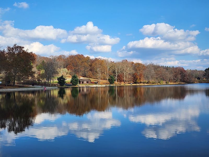 A Man-Made Lake With A Very Natural Feel A Man-Made Lake With A Very Natural Feel