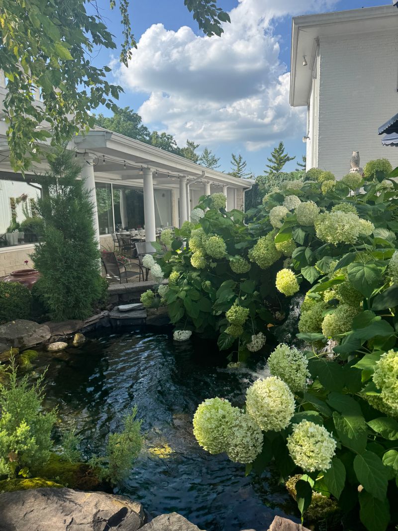 Gardens That Transport You Overseas