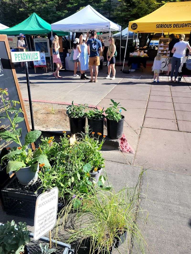 A Market That Works for Every Kind of Visitor