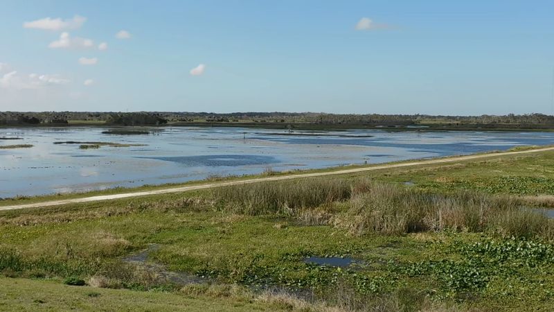A Marsh That Was Built To Clean Water