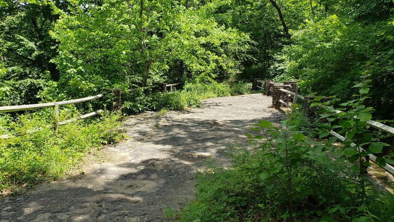 Walking Across Solid Rock Suspended Above The Forest Floor