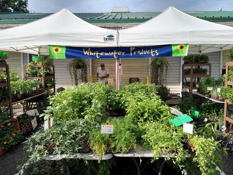 A Massive Selection Of Plants And Flowers A Massive Selection Of Plants And Flowers