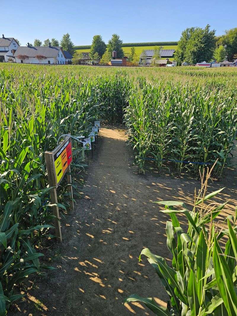 A Maze Built On Five Acres With Miles Hidden Inside