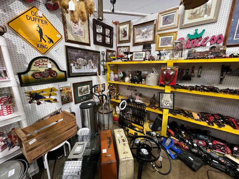 Unexpected Finds Around Every Corner