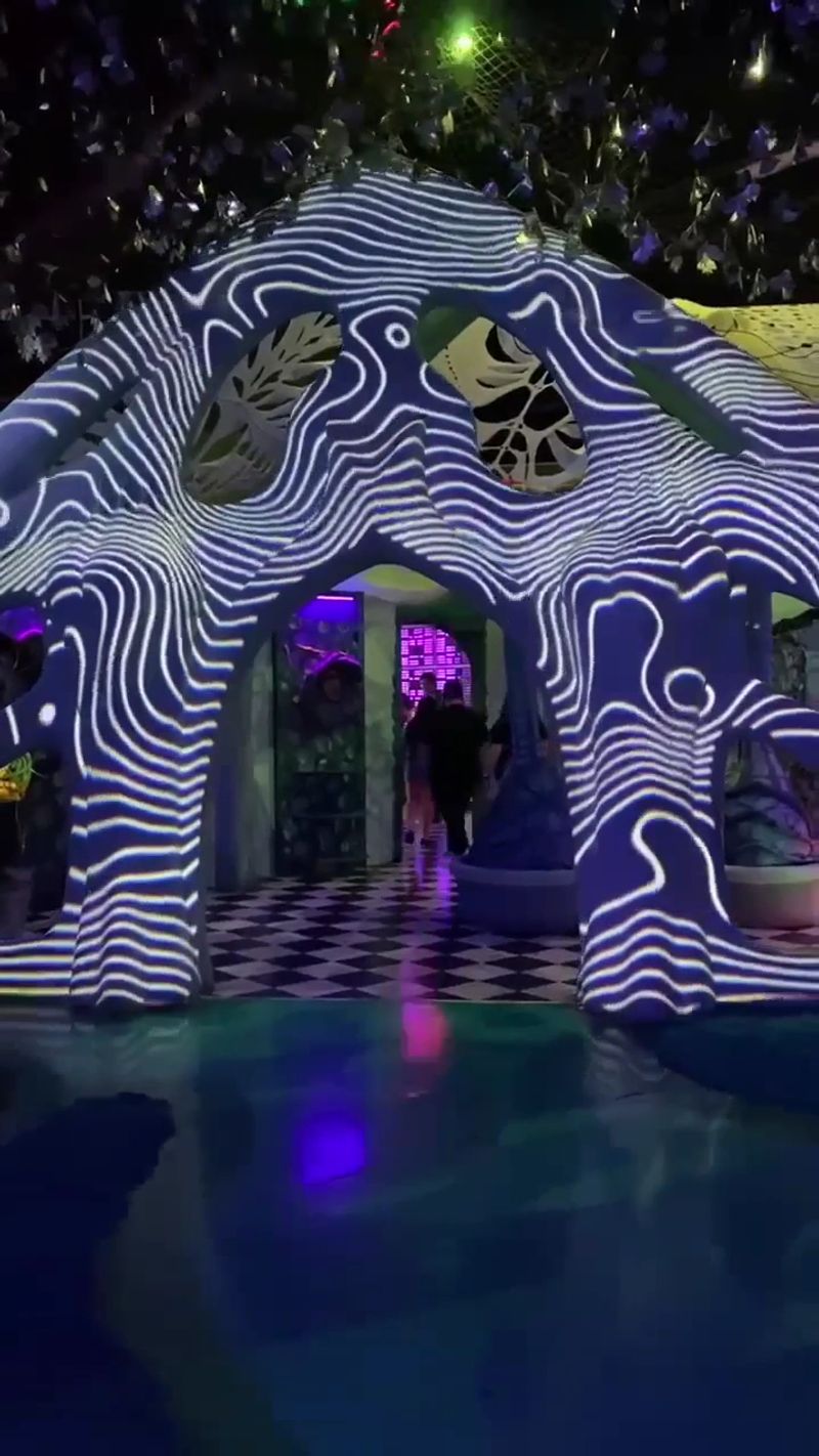 Touch Everything, Seriously