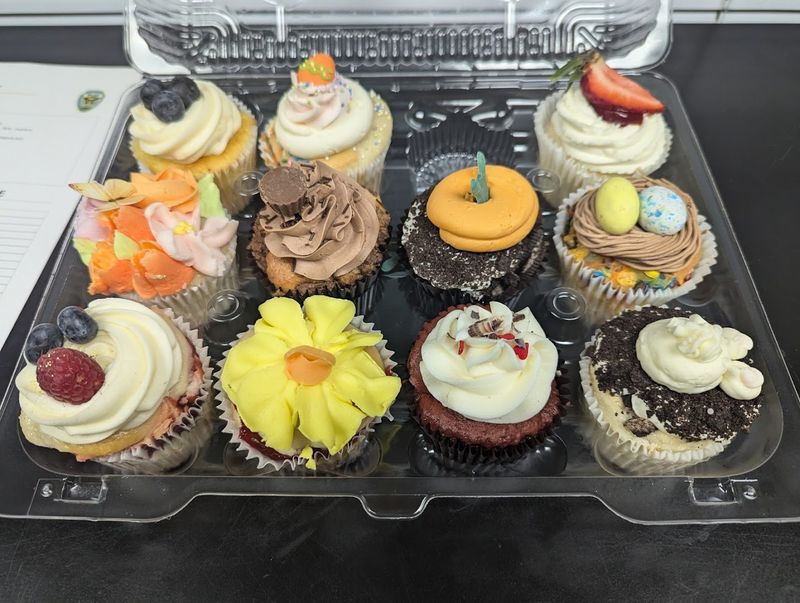 Cupcakes Worth Rearranging Your Schedule For