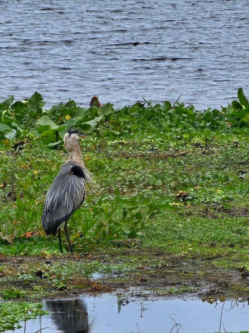 Bird Watching Opportunities That Will Impress Even Casual Observers