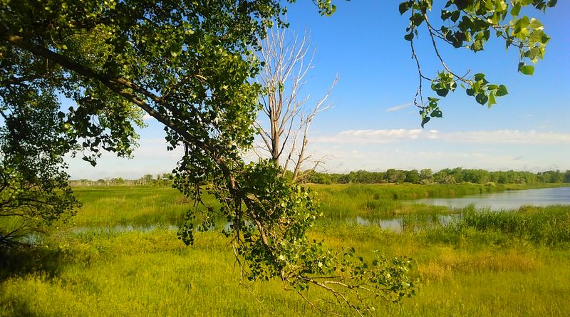 Nebraska's Wide Open Plains