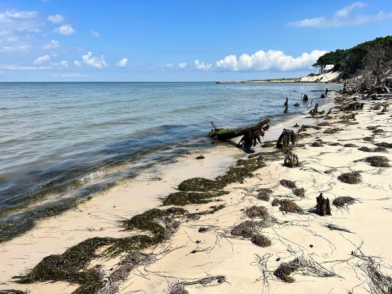  A Mile Of Chesapeake Bay Magic