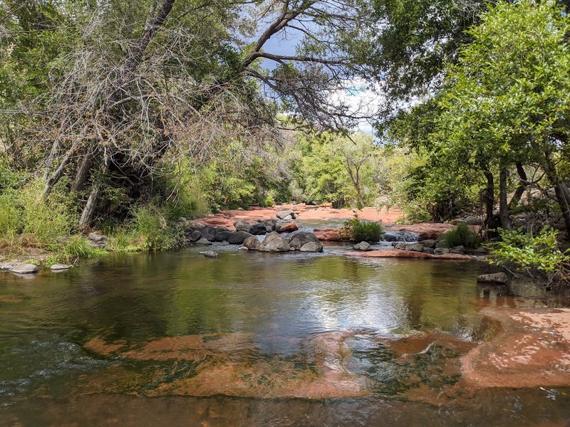 A Moderate Hike Through Changing Landscapes