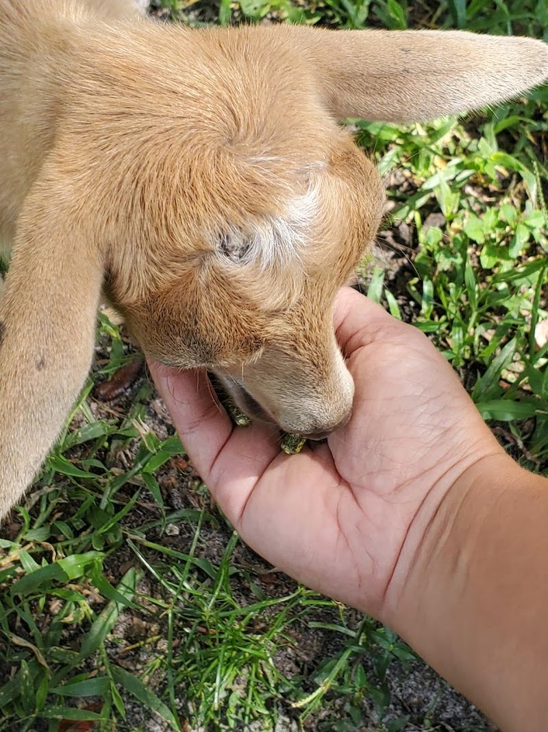 Friendly And Knowledgeable Staff Who Make The Difference