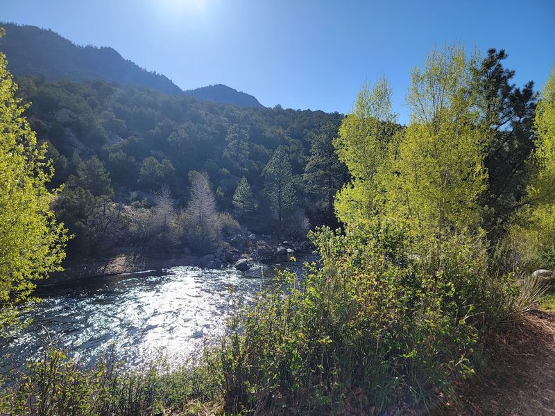 A Morning By The River That Sticks With You