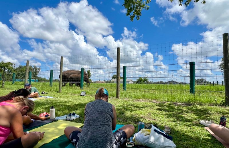 Practical Tips: Tickets, Timing, And Weather Smarts