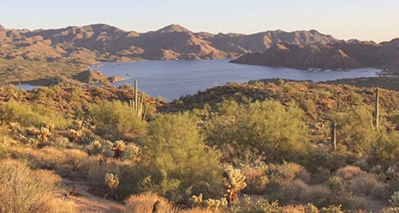 A Much Bigger Bartlett Lake Could Come At A Serious Cost