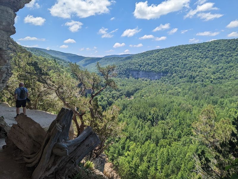 A Narrow Path Above The River