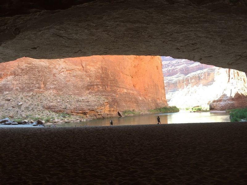 Wildlife and Quiet Moments