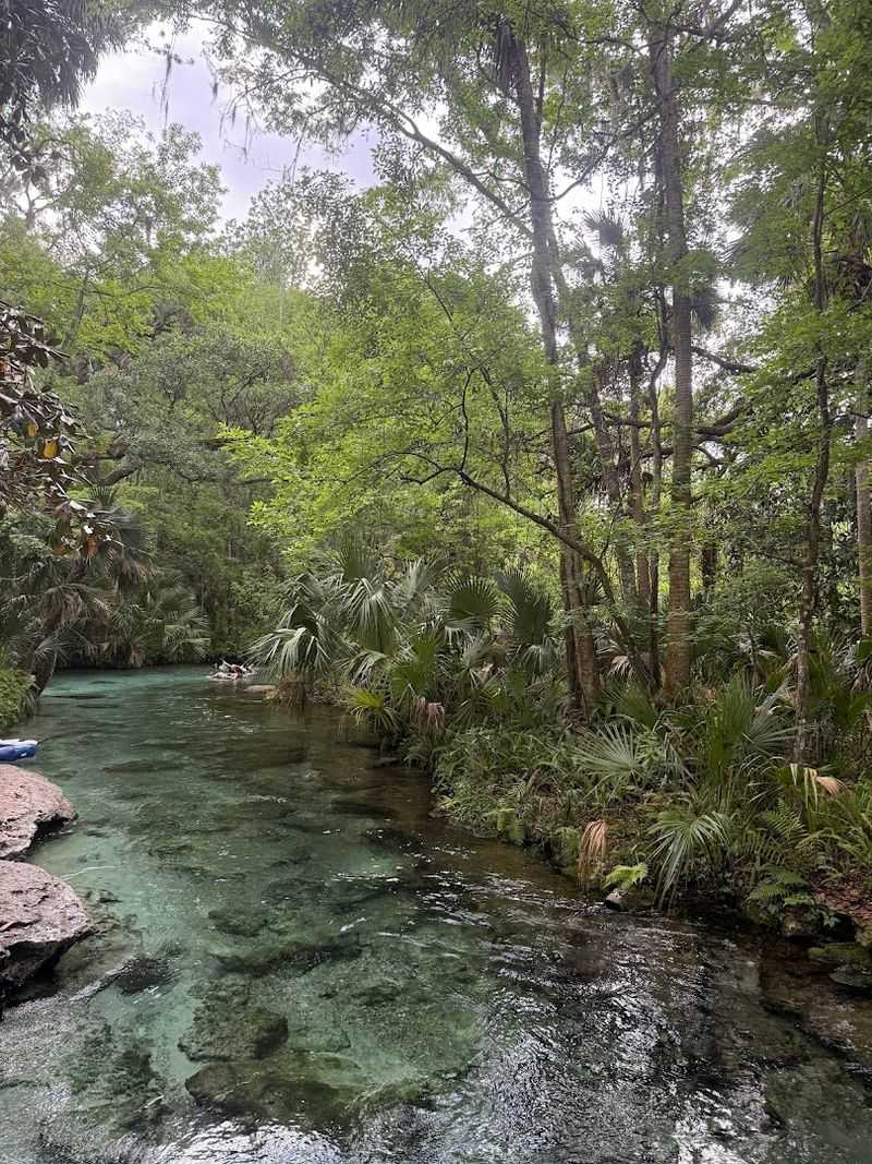 The Park Covers 355 Acres Along A Protected Natural Area