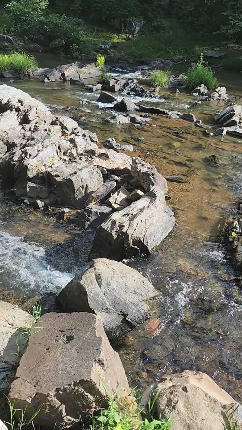 A Natural Spring With Ice Cold Water