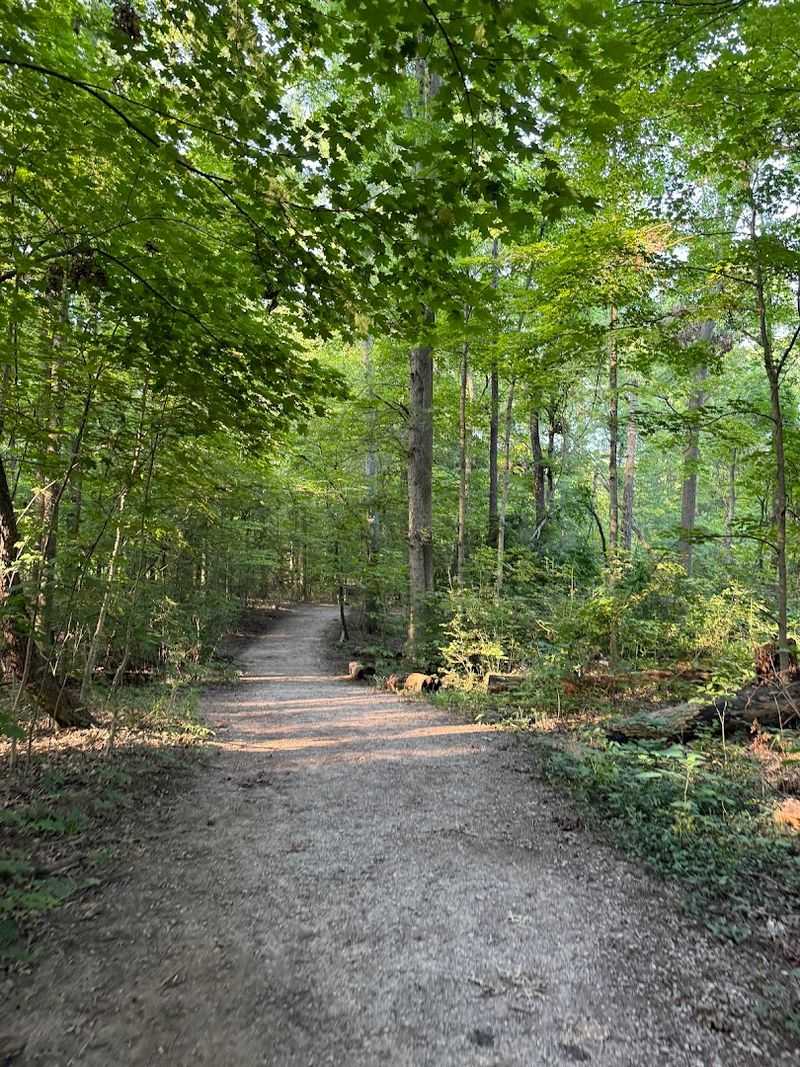 Over Twenty Miles Of Diverse Hiking Trails