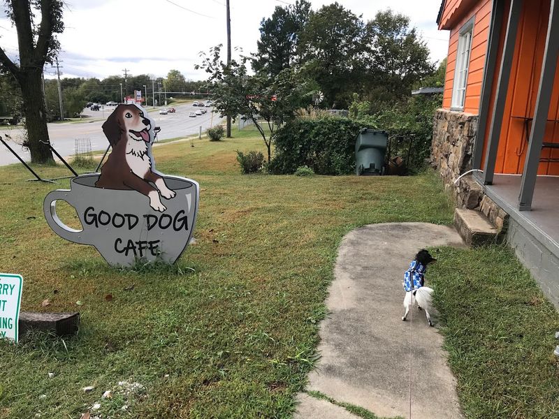 A Neighborhood Stop With A Welcoming Rhythm A Neighborhood Stop With A Welcoming Rhythm