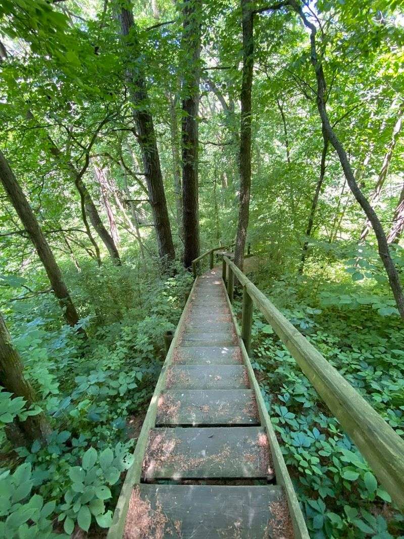 A Network Of Connected Hiking Trails