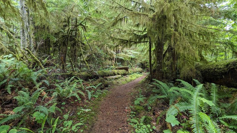 A Network Of Four Main Trails A Network Of Four Main Trails
