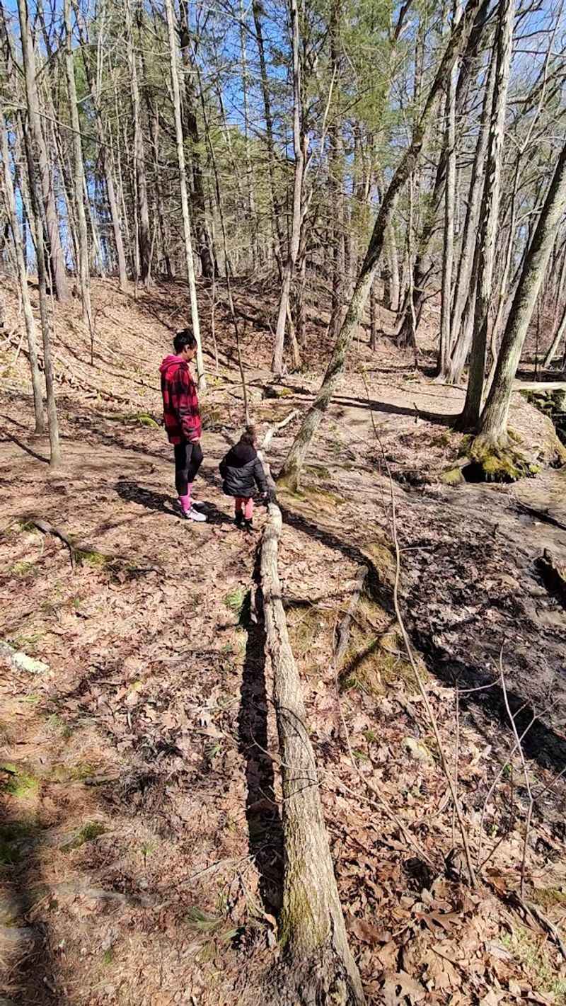 Simple Tips For A Better Visit