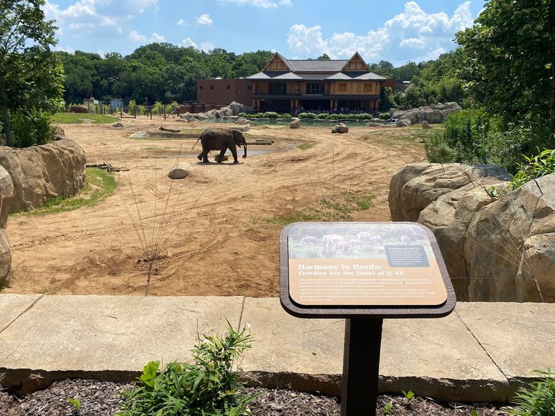 The Sheer Scale Will Stop You in Your Tracks