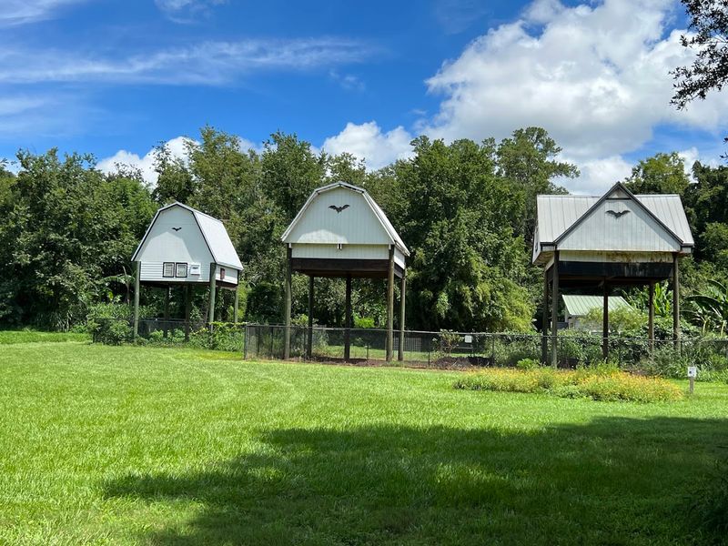 An Ingenious Solution Born From Stadium Renovation