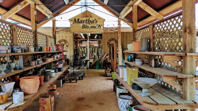 A Nursery That Takes Plant Shopping Seriously A Nursery That Takes Plant Shopping Seriously